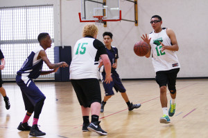 OFL High School Sports Program